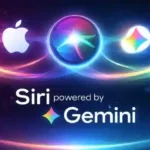 WhatsApp Image 2026-03-26 at 15.00.35